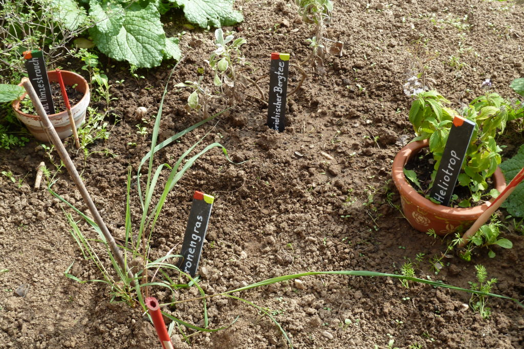 Gartenaktionstag